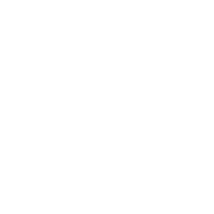 SZ logo W